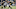 Chicago Bears, Adetomiwa Adebawore Chicago Bears, Adetomiwa Adebawore