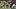 Chicago Bears wide receiver DJ Moore  fantasy football