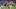 Justin Jefferson, Minnesota Vikings, 2026 Fantasy Football Justin Jefferson, Minnesota Vikings, 2026 Fantasy Football