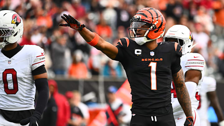 Arizona Cardinals v Cincinnati Bengals - NFL 2025