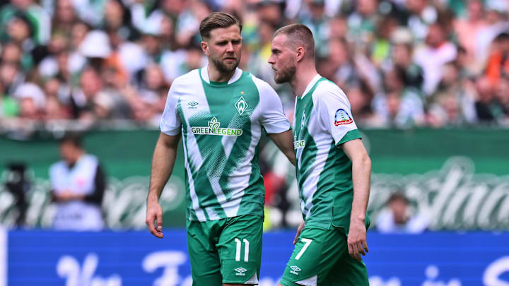 Bleiben die "hässlichen Vögel" am Osterdeich?