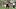 Jul 28, 2026; Foxborough, MA, USA; New England Patriots wide receiver Kayshon Boutte (9) makes a catch during training camp a Jul 28, 2026; Foxborough, MA, USA; New England Patriots wide receiver Kayshon Boutte (9) makes a catch during training camp a