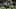 Philadelphia Eagles running back Saquon Barkley scored three touchdowns vs. the Packers in Week 1. Philadelphia Eagles running back Saquon Barkley scored three touchdowns vs. the Packers in Week 1.
