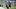 Jourdan Lewis Jourdan Lewis