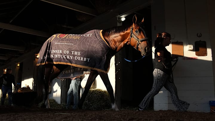 Kentucky Derby winner Mystik Dan walks around the barn Sunday, 