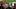 College GameDay Signs May Never Be the Same After Ole Miss Fan’s $18,000 Payday College GameDay Signs May Never Be the Same After Ole Miss Fan’s $18,000 Payday