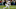 Miami Dolphins wide receiver Tyreek Hill Miami Dolphins wide receiver Tyreek Hill
