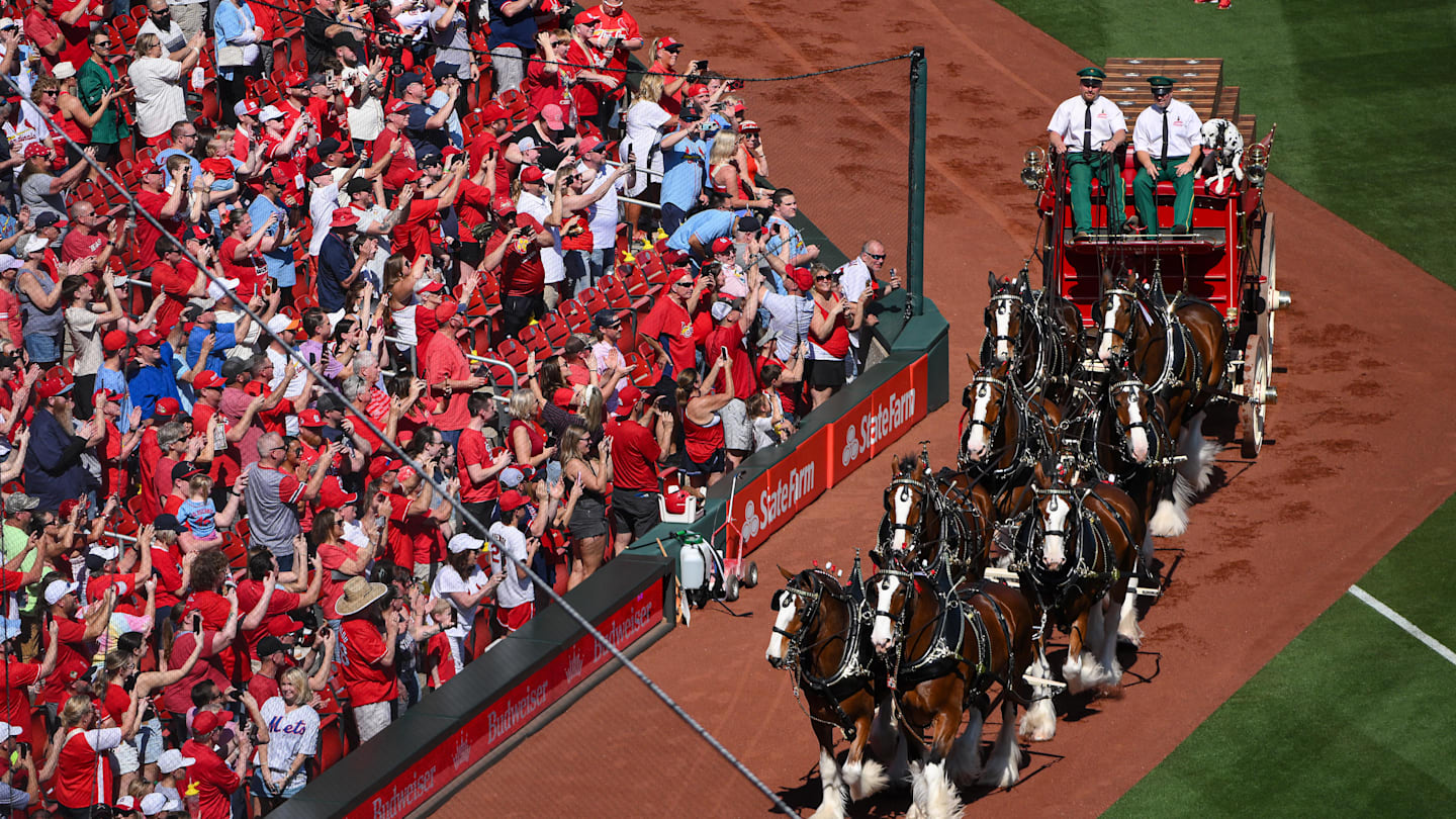 Packed Opening Day in St. Louis was a big hit for Cardinals