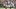 Texas A&M quarterback Marcel Reed has struggled in 2026. Texas A&M quarterback Marcel Reed has struggled in 2026.