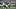 New York Jets running back Braelon Allen fantasy football New York Jets running back Braelon Allen fantasy football