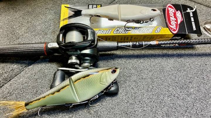 berkley fish si Magic Swimmer Saltwater Designed for the Japanese hard finesse technique known as spybaiting Berkley's PowerBait Sick Fish -