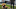 Conor Daly Enchanté 500 with Dog Conor Daly Enchanté 500 with Dog