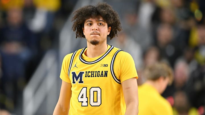 Michigan basketball 