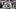 Fantasy Outlook for Mike Washington Jr. Following Jeanty's  Injury, Mike Washington Jr. Las Vegas Raiders