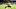 Nashville SC