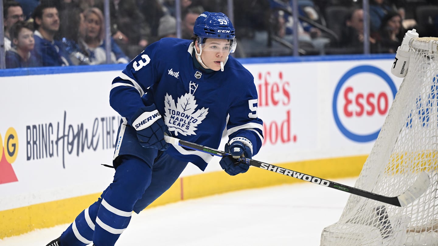 Rookie drops the gloves and sends message to Maple Leafs coaches