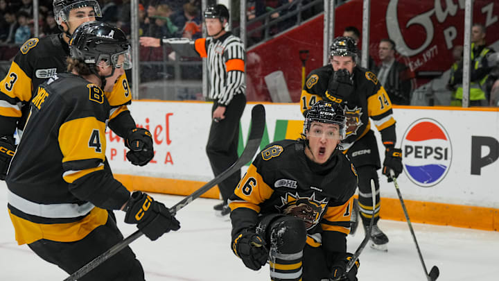 Brantford Bulldogs v Ottawa 67's