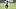 Jun 9, 2026; Houston, Texas, USA; Houston Texans cornerback Collin Wright participates in a drill during the team’s minicamp Jun 9, 2026; Houston, Texas, USA; Houston Texans cornerback Collin Wright participates in a drill during the team’s minicamp