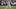 Shedeur Sanders, Cleveland Browns Shedeur Sanders, Cleveland Browns