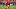 Xavier Worthy, Kansas City Chiefs, 2026 Fantasy Football Xavier Worthy, Kansas City Chiefs, 2026 Fantasy Football