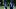 Seattle Seahawks quarterback Sam Darnold passes the ball to quarterback Drew Lock Seattle Seahawks quarterback Sam Darnold passes the ball to quarterback Drew Lock