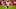 Commanders quarterback Jayden Daniels Commanders quarterback Jayden Daniels