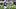 Los Angeles Chargers quarterback Justin Herbert Los Angeles Chargers quarterback Justin Herbert
