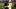 New England Patriots wide receiver A.J. Brown New England Patriots wide receiver A.J. Brown