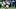 Washington Huskies quarterback Demond Williams Jr. Washington Huskies quarterback Demond Williams Jr.