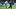 Dee Winters TCU Horned Frog and Dallas Cowboys