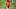 Houston Astros center fielder Jake Meyers Houston Astros center fielder Jake Meyers