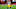 Iowa Hawkeyes tight end DJ Vonnahme
