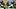 Pittsburgh Steelers running back Rico Dowdle Pittsburgh Steelers running back Rico Dowdle