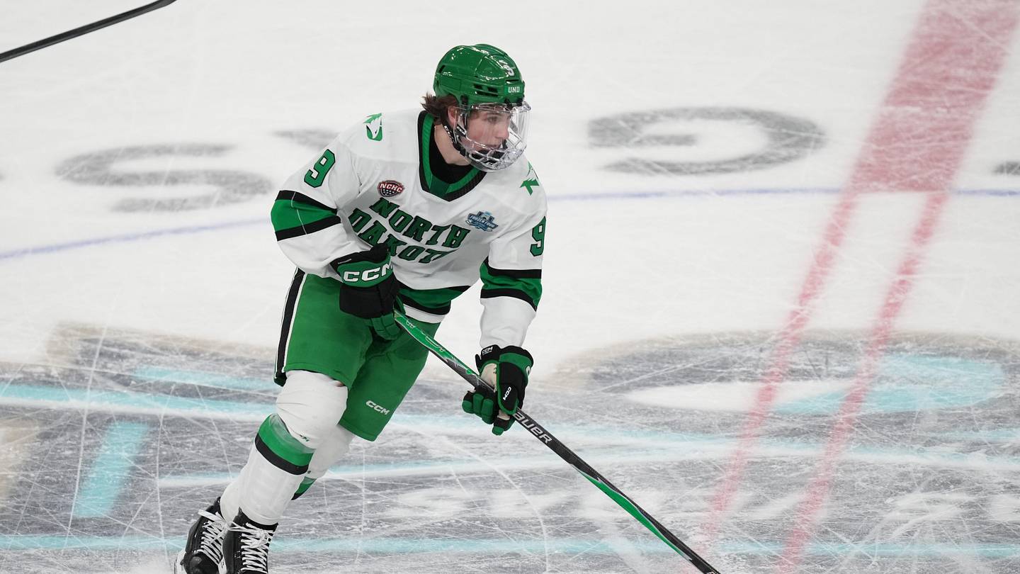 Bruins preliminary development roster offers two intriguing names for fans to watch