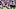 LSU running back Dilin Jones LSU running back Dilin Jones
