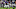 Baltimore ravens, tyler huntley Baltimore ravens, tyler huntley