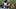 Fantasy Football, Chase Brown, Cincinatti Bengals Fantasy Football, Chase Brown, Cincinatti Bengals