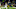 Notre Dame Fighting Irish wide receiver Malachi Fields 