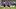 Jordan Henderson Jordan Henderson