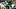 Michigan Wolverines Michigan State Spartans rivalry