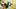 Orlando Magic guard Jalen Suggs looks to shoot over New York Knicks forward OG Anunoby Orlando Magic guard Jalen Suggs looks to shoot over New York Knicks forward OG Anunoby