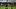 Los Angeles FC midfielder Leo Walta 