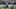Jahiem White, pictured vs. Indiana earlier this season, has rushed for 582 yards and 8 TDs in five games for North Texas. Jahiem White, pictured vs. Indiana earlier this season, has rushed for 582 yards and 8 TDs in five games for North Texas.