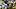 Pittsburgh Steelers offensive tackle Max Iheanachor Pittsburgh Steelers offensive tackle Max Iheanachor