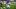 Keaton Mitchell, Los Angeles Chargers, 2026 Fantasy Footbal Keaton Mitchell, Los Angeles Chargers, 2026 Fantasy Footbal