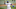 Texas Rangers starting pitcher Kumar Rocker throws to first base.