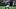 Geno Smith Geno Smith