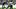 Fantasy Football, Jaylen Warren, Pittsburgh Steelers Fantasy Football, Jaylen Warren, Pittsburgh Steelers