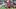 KJ Duff projected to Philadelphia Eagles in 2027 NFL Mock Draft KJ Duff projected to Philadelphia Eagles in 2027 NFL Mock Draft