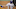 Texas Rangers second baseman Josh Smith